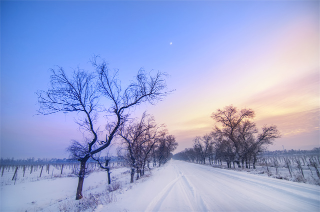 下雪天出門怎么防寒？防寒保暖這幾招就夠了