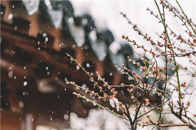 下雪天會被曬黑嗎?下雪也要注意防曬-易網(wǎng)健康養(yǎng)生網(wǎng) 下雪天會被曬黑嗎?下雪也要注意防曬