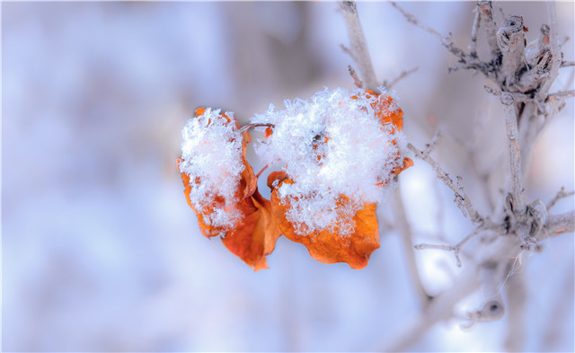 下雪天會被曬黑嗎?下雪也要注意防曬-易網(wǎng)健康<a href=http://m.aoa7937.com/jkys/ target=_blank class=infotextkey>養(yǎng)生</a>網(wǎng) 下雪天會被曬黑嗎?下雪也要注意防曬