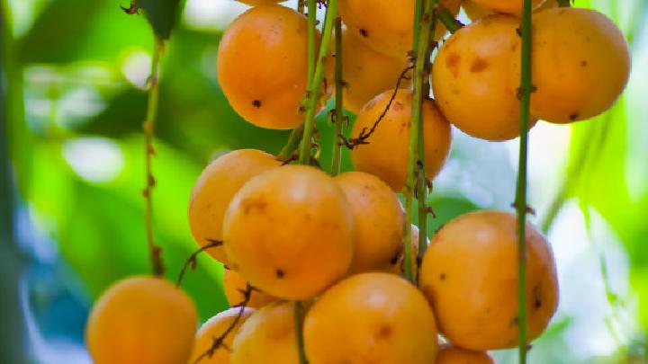養(yǎng)胃的食物有哪些 八種養(yǎng)胃食物千萬(wàn)別錯(cuò)過