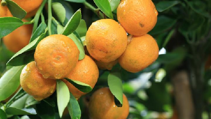 冬季最怕上4種火 6種降火食物千萬別錯(cuò)過