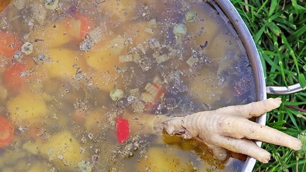 秋季養生滋補3妙招 處暑時節要養生