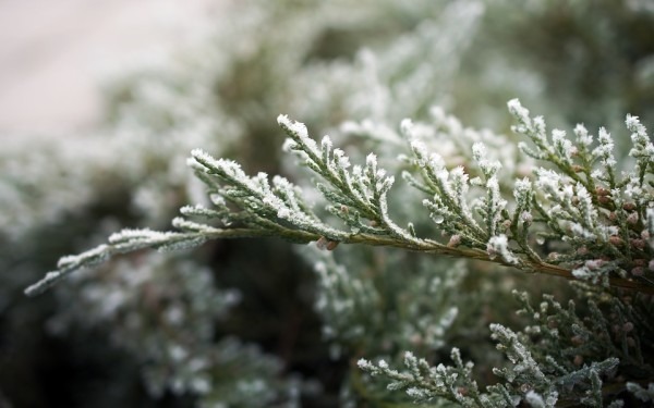 小雪節氣：健康養生5常識