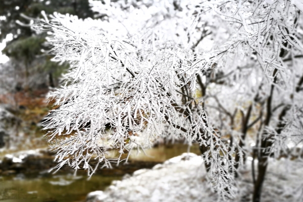 小雪的節氣特點