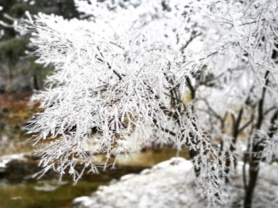 小雪的節(jié)氣特點