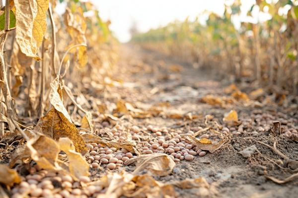 為什么會(huì)有閏六月