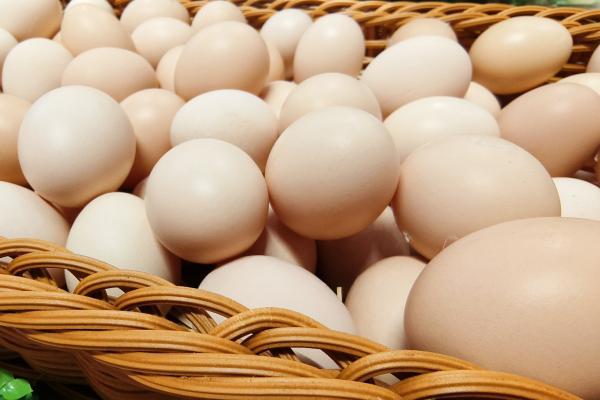 春天吃什么長個子