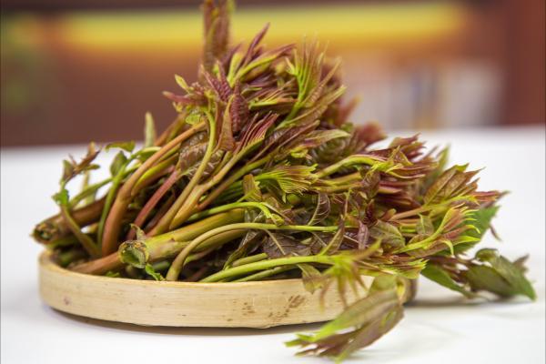 春分吃什么食物-易網健康<a href=http://m.aoa7937.com/jkys/ target=_blank class=infotextkey>養生</a>網 春分吃什么食物