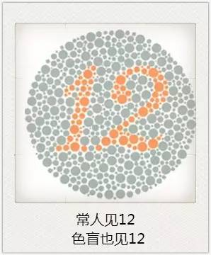 與視力相關的一些眼疾 與視力相關的一些眼疾