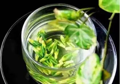 去火，你還只知道菊花茶嗎？