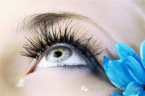 空調房內眼睛容易干澀,如何預防干眼癥? 空調房內眼睛容易干澀,如何預防干眼癥?