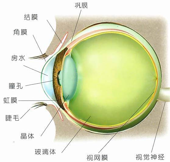 如何預防角膜炎？