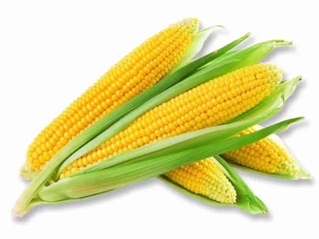 眼睛干澀、疲勞，記得多吃這些食物！