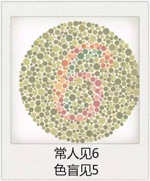 與視力相關的一些眼疾 與視力相關的一些眼疾