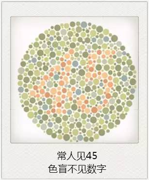 與視力相關的一些眼疾 與視力相關的一些眼疾