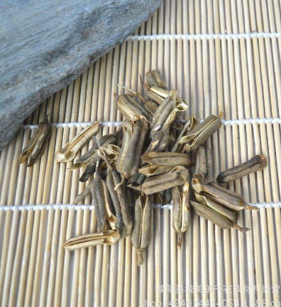 芝麻殼的功效與作用及禁忌
