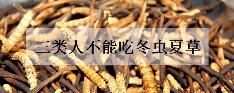 三類人不能吃冬蟲夏草