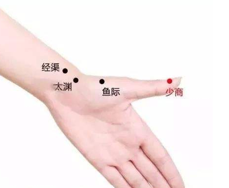 少商穴的準(zhǔn)確位置圖 少商穴的功效與作用