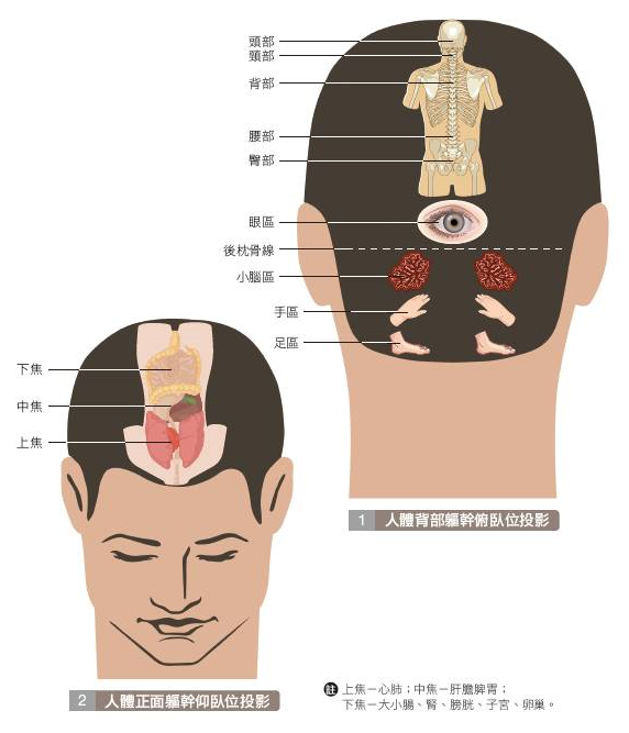 梳頭按摩的5種方式！梳頭能改善頭痛、高血壓、中風等疾病