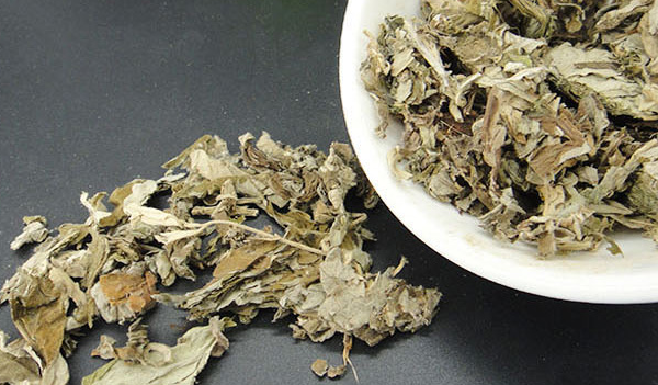 治療膝關節炎的偏方?治膝蓋痛絕密中藥方-易網健康<a href=http://m.aoa7937.com/jkys/ target=_blank class=infotextkey>養生</a>網 治療膝關節炎的偏方?治膝蓋痛絕密中藥方