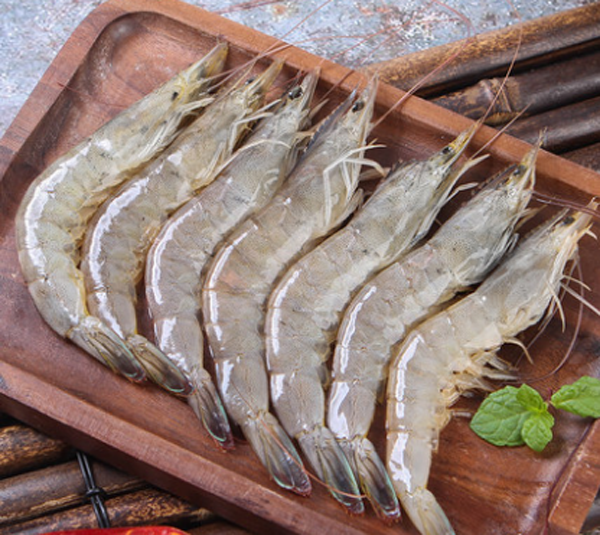 苦瓜不能和什么食物一起吃,苦瓜的禁忌搭配-易網健康<a href=http://m.aoa7937.com/jkys/ target=_blank class=infotextkey>養生</a>網 苦瓜不能和什么食物一起吃,苦瓜的禁忌搭配