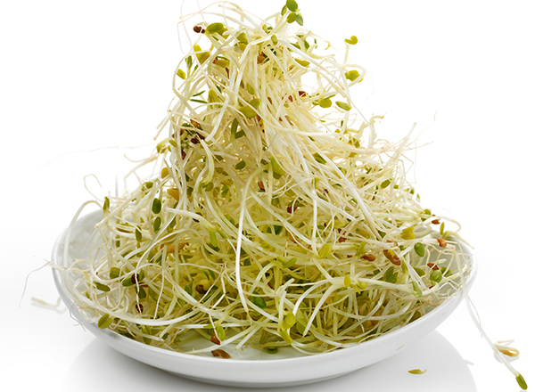 開胃的食物有哪些 不傷胃的開胃涼拌菜做法