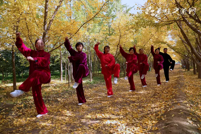 喜迎國(guó)慶 石家莊開展五星紅旗飄起來活動(dòng)