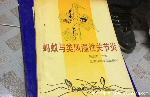 黑螞蟻治療類風濕配方，螞蟻消痹湯(類風濕性關節炎的克星)