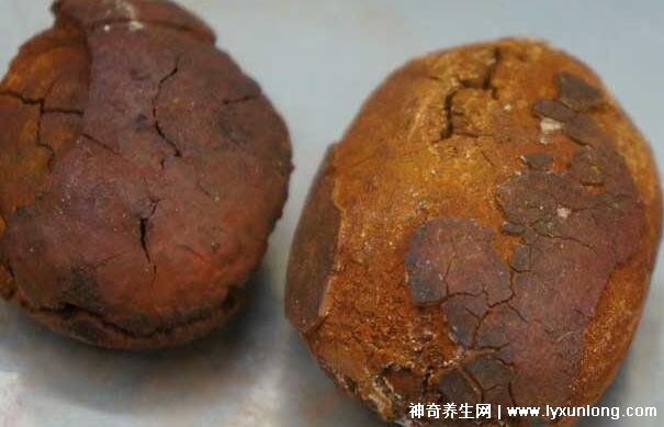 牛黃是什么東西多少錢一克，牛膽囊的膽結石500元/克(圖片)