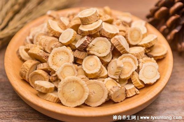 黃芪為什么下午5點后不能喝，易上火/影響肺功能(附服用時間)
