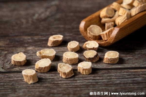 黃芪為什么下午5點后不能喝，易上火/影響肺功能(附服用時間)