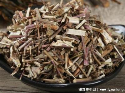 荊芥的十大神奇功效,治療風熱頭痛/咽喉腫痛(能抗過敏/消疹止癢)