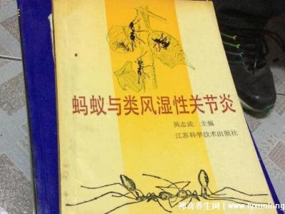 黑螞蟻治療類風(fēng)濕配方，螞蟻消痹湯(類風(fēng)濕性關(guān)節(jié)炎的克星)