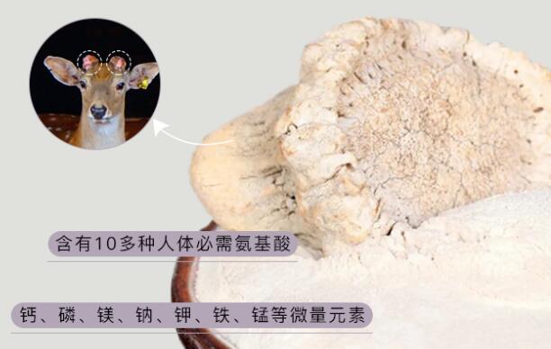 鹿角帽粉的作用與功效禁忌，溫補(bǔ)腎陽/活血/通乳(副作用)