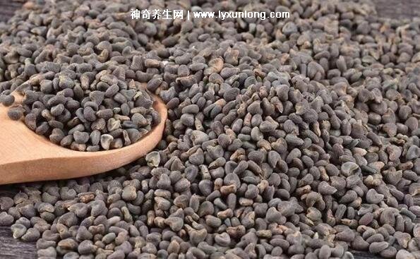 沙苑子泡水三大禁忌，十種人不能吃沙苑子(不能天天喝)