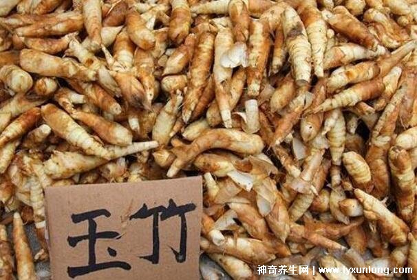 三種人不能吃玉竹,痰濕氣滯/脾虛便溏/陰虛內(nèi)寒要忌口-易網(wǎng)健康<a href=http://m.aoa7937.com/jkys/ target=_blank class=infotextkey>養(yǎng)生</a>網(wǎng) 三種人不能吃玉竹,痰濕氣滯/脾虛便溏/陰虛內(nèi)寒要忌口