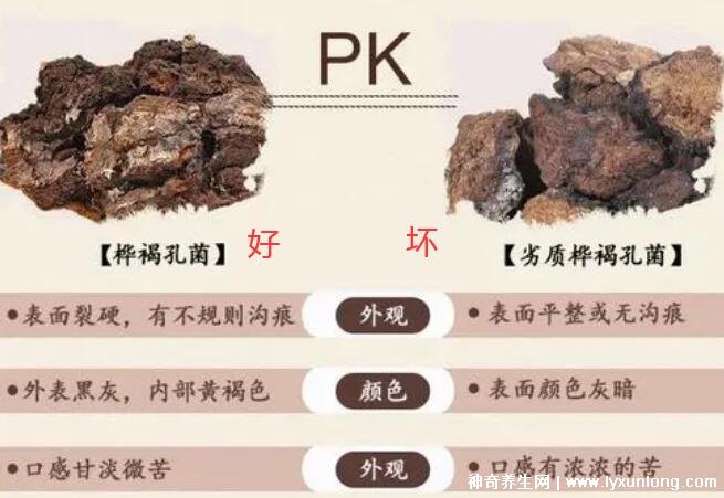 喝了4個月樺樹茸血糖升高，正確服用會降血糖(3大因素影響)