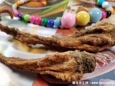 藏雪參的功效與作用吃法，預防高血糖/延年益壽(可泡水喝/煲湯)