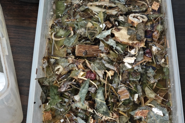 補腎常用的中藥有哪些-易網<a href=http://m.aoa7937.com/ target=_blank class=infotextkey>健康養生</a>網 補腎常用的中藥有哪些