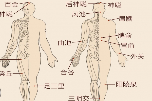 陰陵泉準確位置