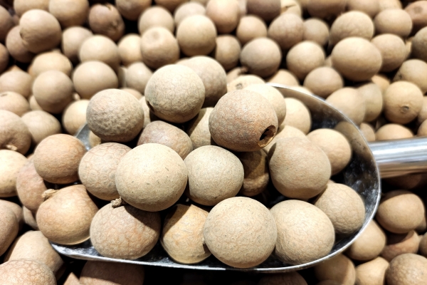 當歸搭配什么食材養血效果最好