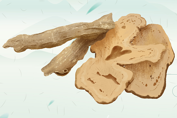 當(dāng)歸不適合哪些人吃