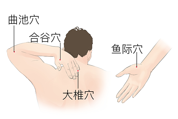 三陰焦在哪個位置-易網健康養生網 三陰焦在哪個位置