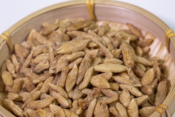 補腎常用的中藥有哪些-易網健康<a href=http://m.aoa7937.com/jkys/ target=_blank class=infotextkey>養生</a>網 補腎常用的中藥有哪些