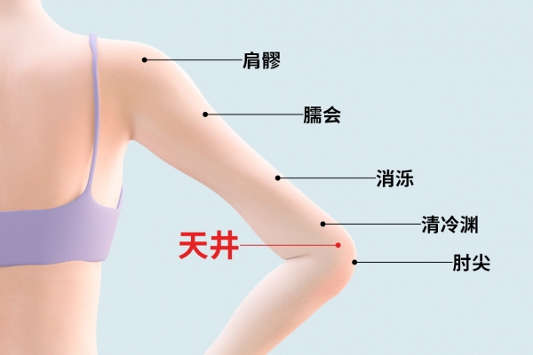 天井的位置和功效與作用-易網健康<a href=http://m.aoa7937.com/jkys/ target=_blank class=infotextkey>養生</a>網 天井的位置和功效與作用