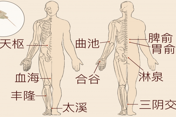 神庭的準確位置和功效