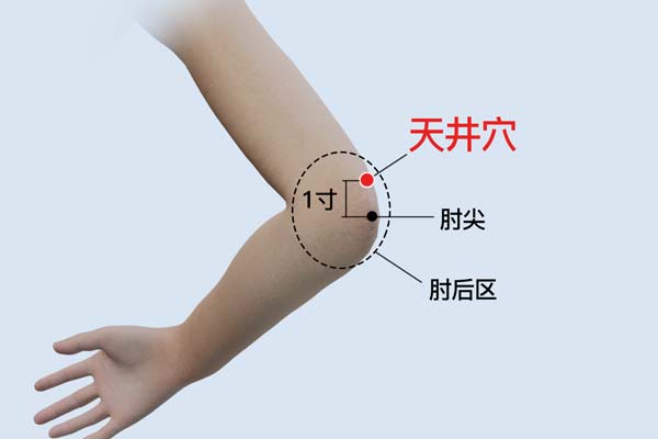 天井的位置和功效與作用-易網<a href=http://m.aoa7937.com/ target=_blank class=infotextkey>健康養生</a>網 天井的位置和功效與作用