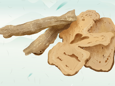 當歸不適合哪些人吃