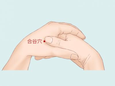 合谷穴的位置