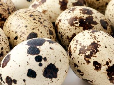 凉拌变蛋怎么调酱汁